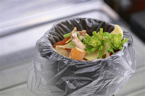 건조기 후 음식 - 얼린다 vs 건조시킨다, 음식물쓰레기 올바른